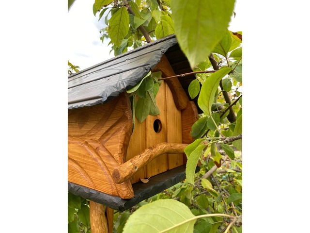 Годівниця-шпаківня