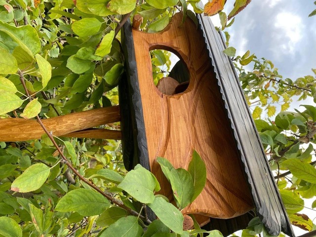 Годівниця-шпаківня