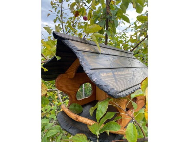 Годівниця-шпаківня