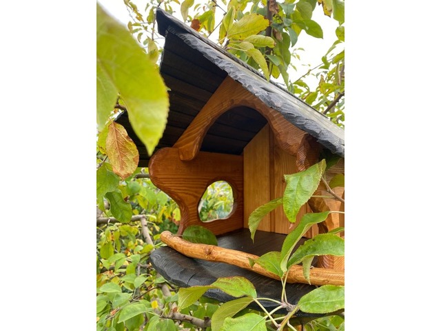 Годівниця-шпаківня