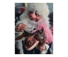 Дедушка Мороз