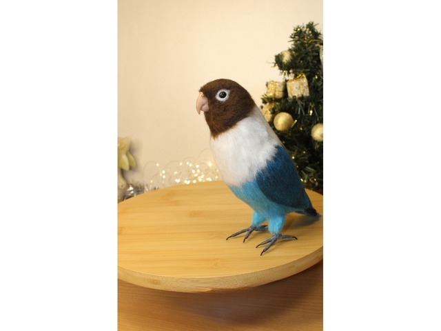 Папуга войлочний нерозлучник іграшка валяна з шерсті інтерєрний попугай птах сувенір