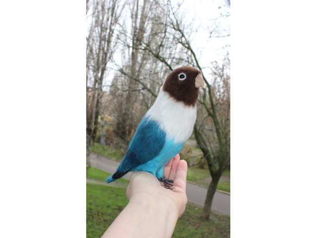 Папуга войлочний нерозлучник іграшка валяна з шерсті інтерєрний попугай птах сувенір