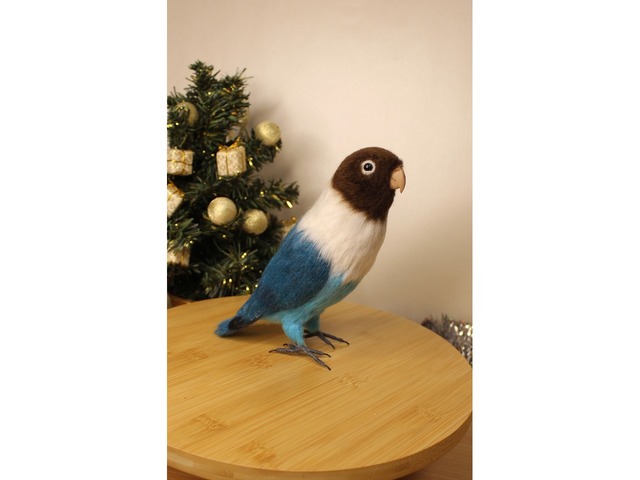 Папуга войлочний нерозлучник іграшка валяна з шерсті інтерєрний попугай птах сувенір