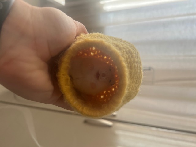 Будиночок для хом’ячка