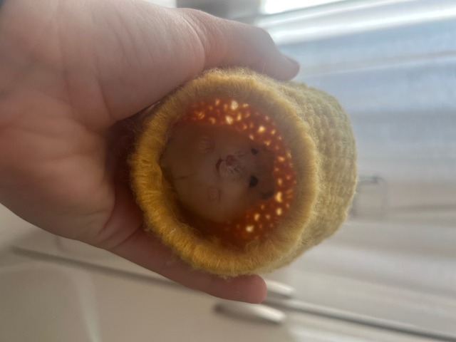 Будиночок для хом’ячка