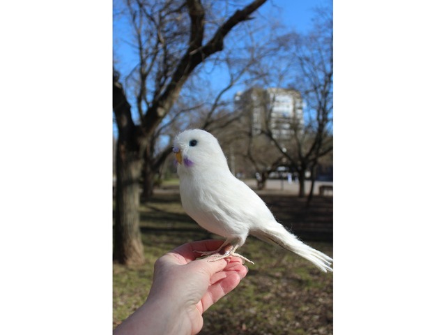 Білий попугай іграшка валяна з шерсті інтерєрна ручної роботи папуга войлочний птица