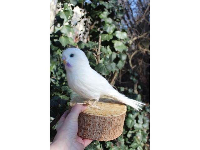 Білий попугай іграшка валяна з шерсті інтерєрна ручної роботи папуга войлочний птица