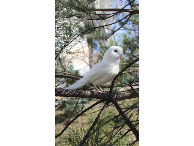 Білий попугай іграшка валяна з шерсті інтерєрна ручної роботи папуга войлочний птица