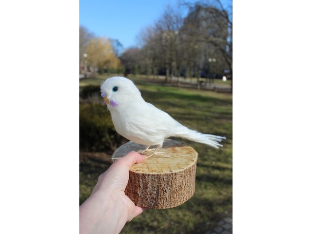 Білий попугай іграшка валяна з шерсті інтерєрна ручної роботи папуга войлочний птица