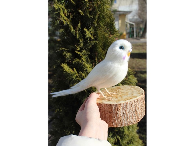 Білий попугай іграшка валяна з шерсті інтерєрна ручної роботи папуга войлочний птица