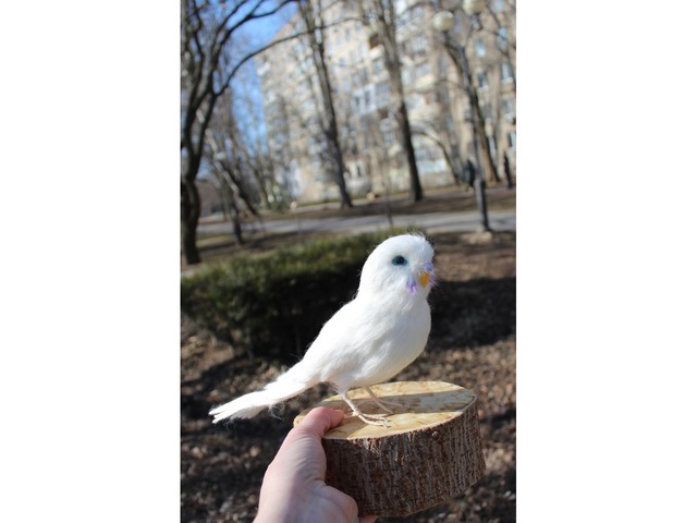 Білий попугай іграшка валяна з шерсті інтерєрна ручної роботи папуга войлочний птица