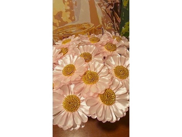 Рожеві ромашки