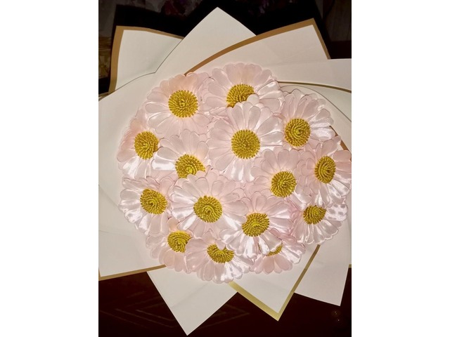 Рожеві ромашки