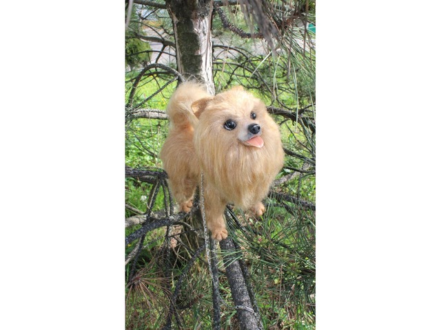 Шпиц собака іграшка валяна з шерсті хендмєйд пес войлочний інтерєрний подарок сувенір