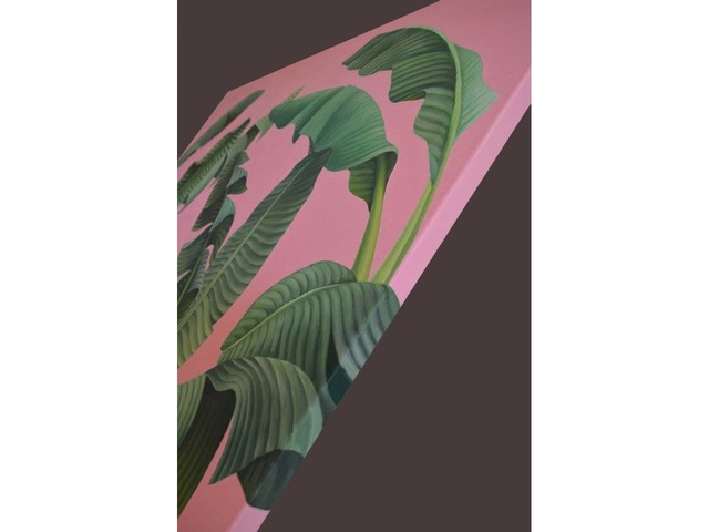 Banana leaves