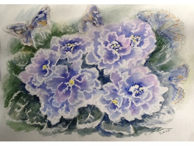 Акварель квіти Сині махрові фіалки з метеликами