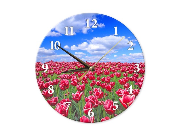 Настенные часы с фотографией на стекле красных тюльпанов на фоне неба.