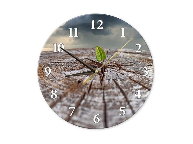 Настенные часы с фото листочка на спиленном дереве