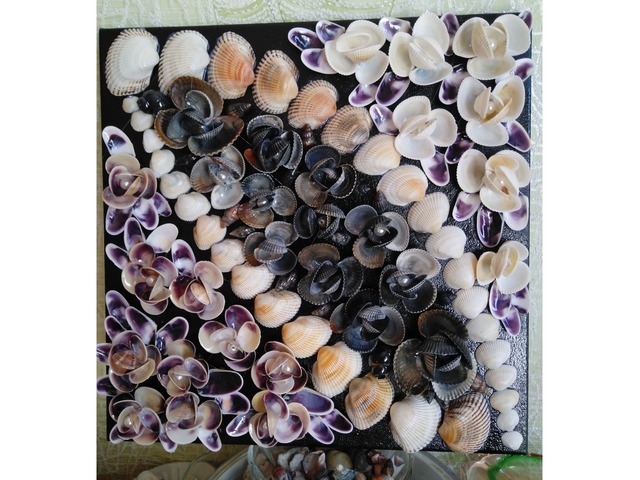 Картина из морских ракушек черного моря!!